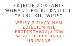 dodaj zdjęcie do ogłoszenia